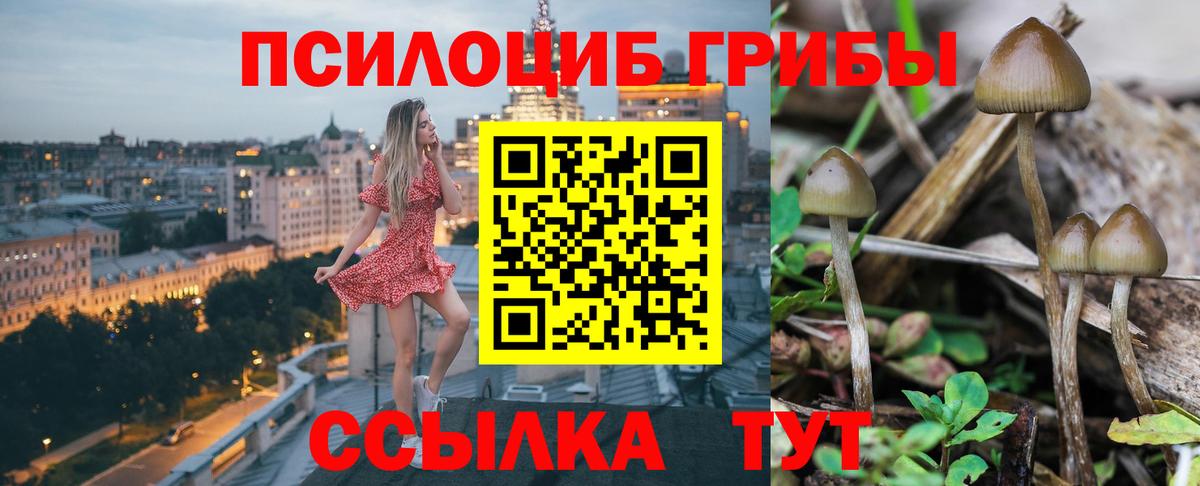 Балтийск  Галлюциногенные грибы мицелий  Вход с VPN 